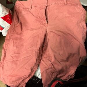 Loft Monro Chino 12 salmon NWOT